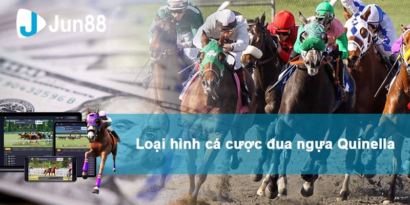 Các loại kèo đua ngựa phổ thông bạn có biết?